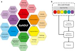 Current amalgamation of the functionality of GaNDLF.