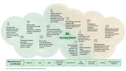 Types of ML Ecosystem players